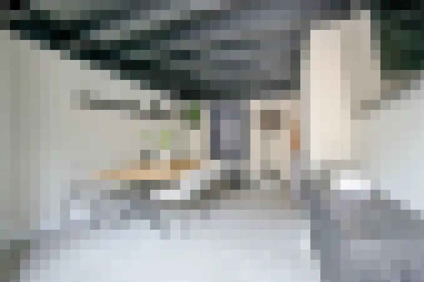 Pieter de Hooghstraat 103 Heerhugowaard thumbnail 17