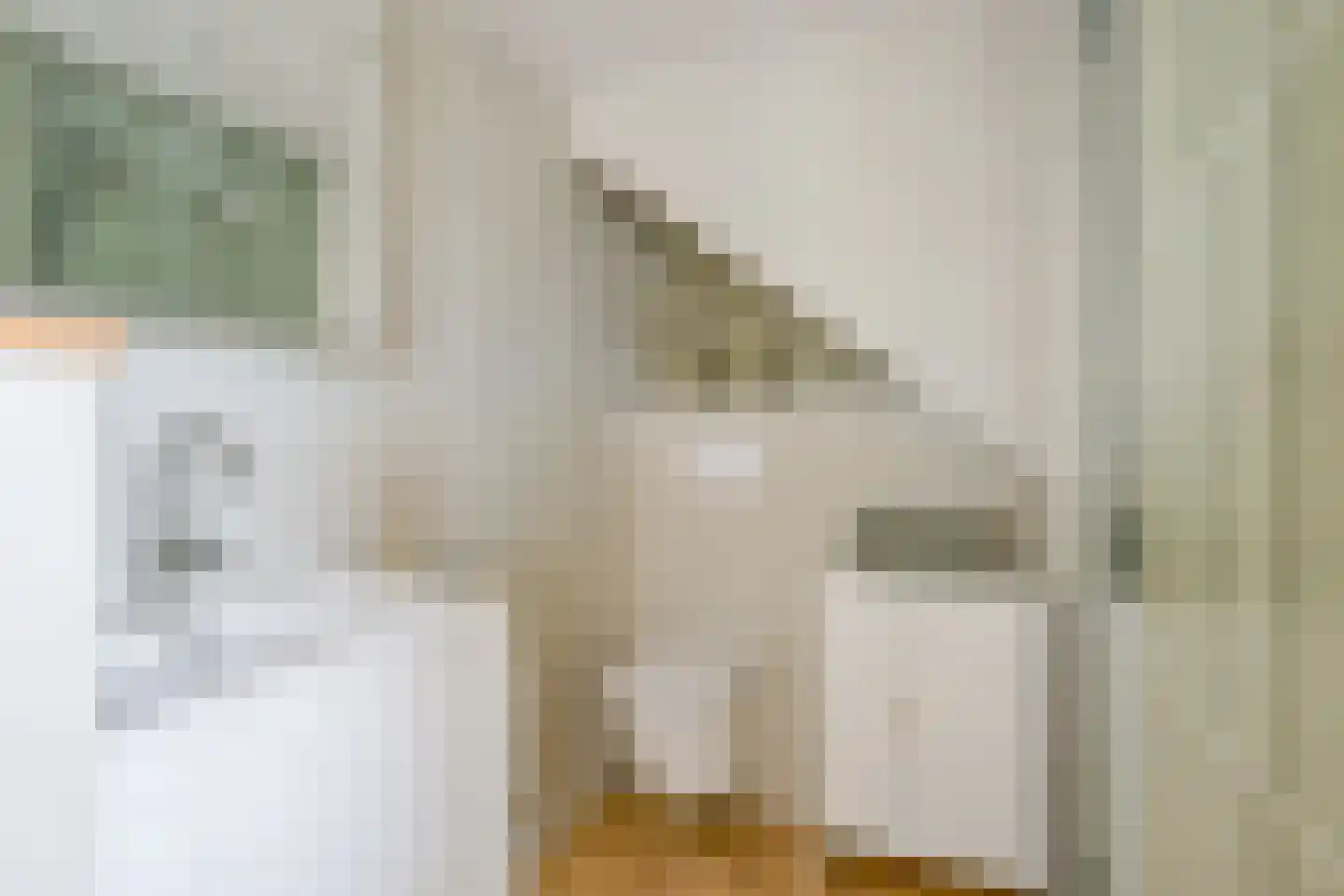 Pieter de Hooghstraat 103 Heerhugowaard thumbnail 35