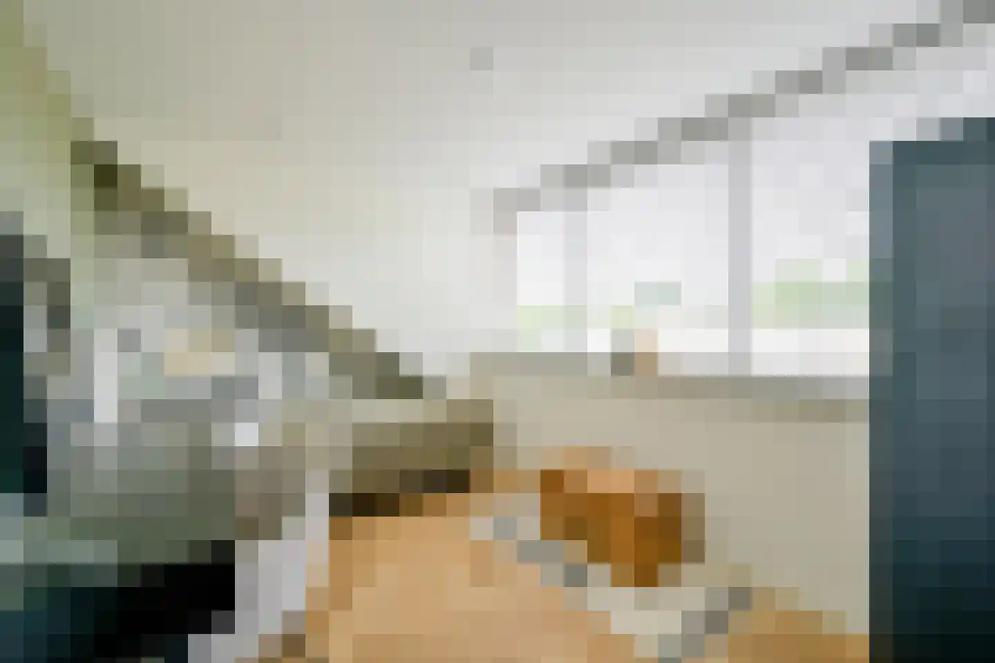 Pieter de Hooghstraat 103 Heerhugowaard thumbnail 38