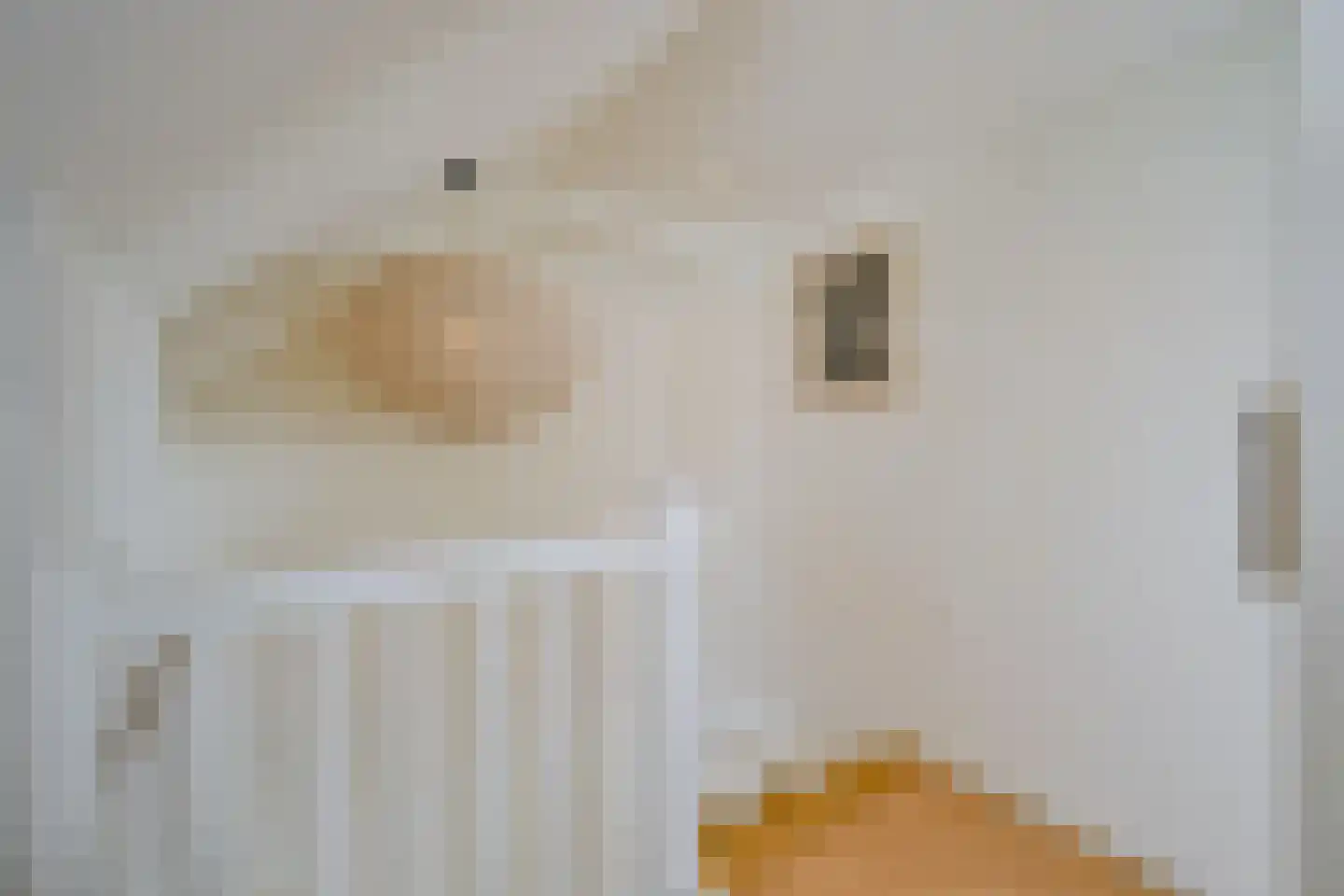Pieter de Hooghstraat 103 Heerhugowaard thumbnail 39