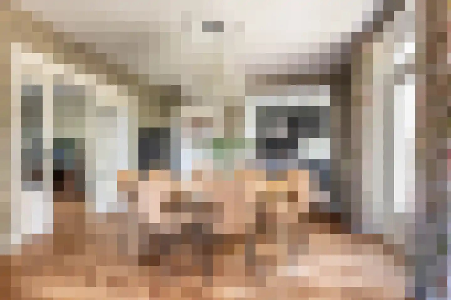 Pieter de Hooghstraat 11 Heemstede thumbnail 10