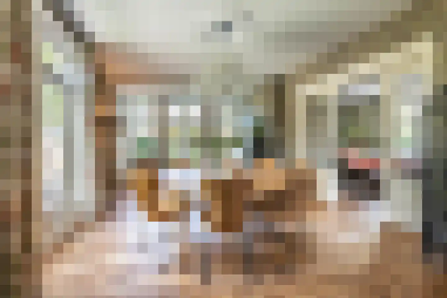 Pieter de Hooghstraat 11 Heemstede thumbnail 11