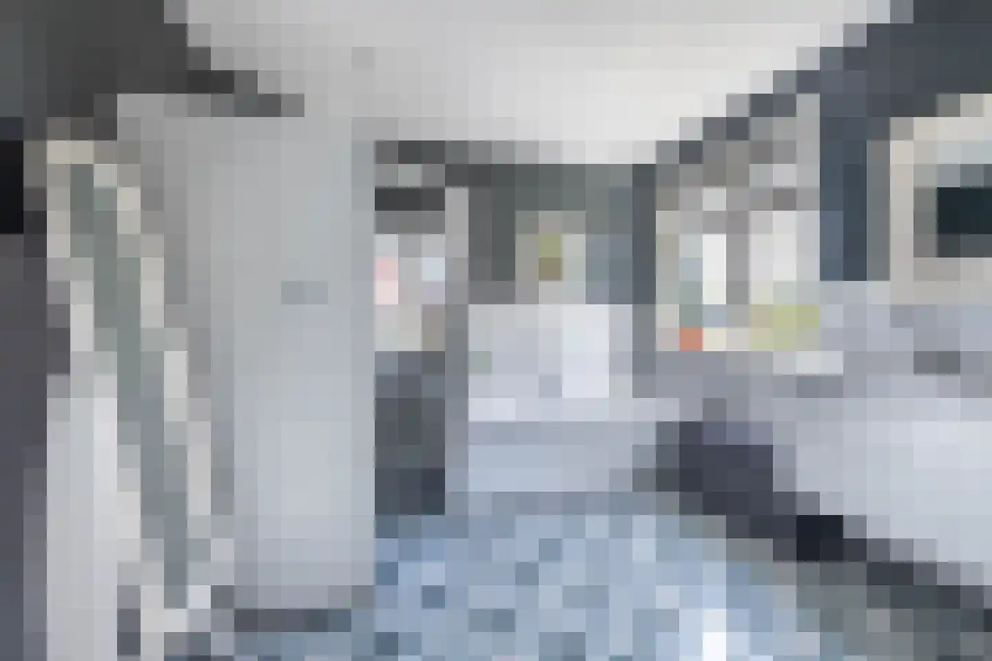 Pieter de Hooghstraat 11 Heemstede thumbnail 23