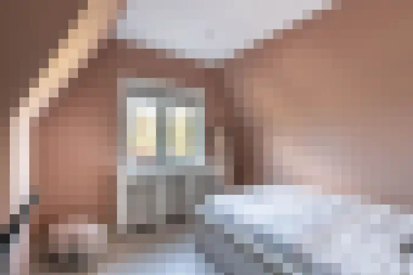 Pieter de Hooghstraat 11 Heemstede thumbnail 30