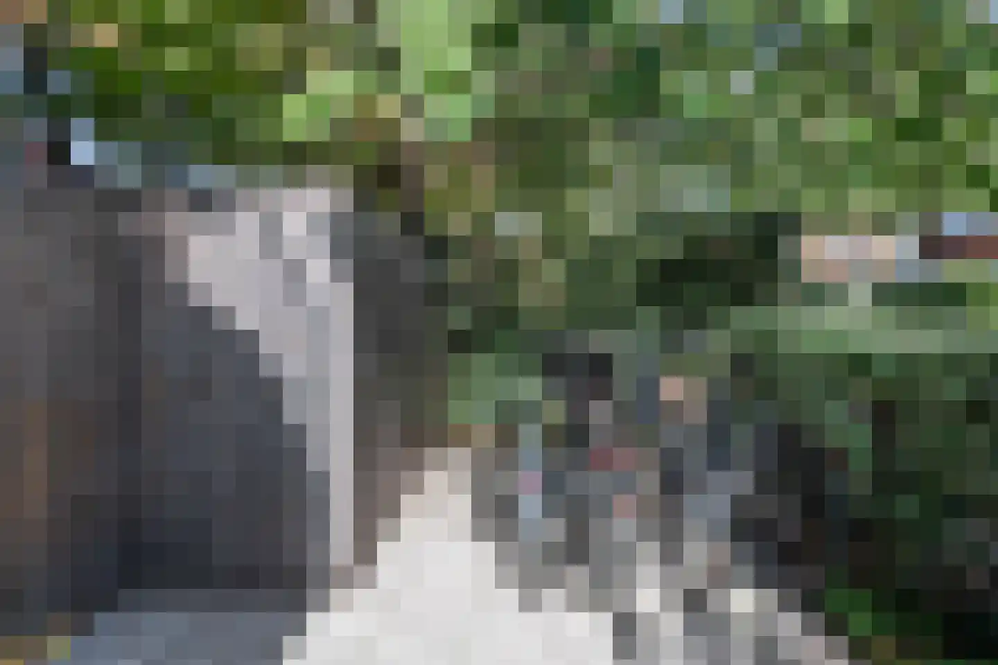 Pieter de Hooghstraat 11 Heemstede thumbnail 38