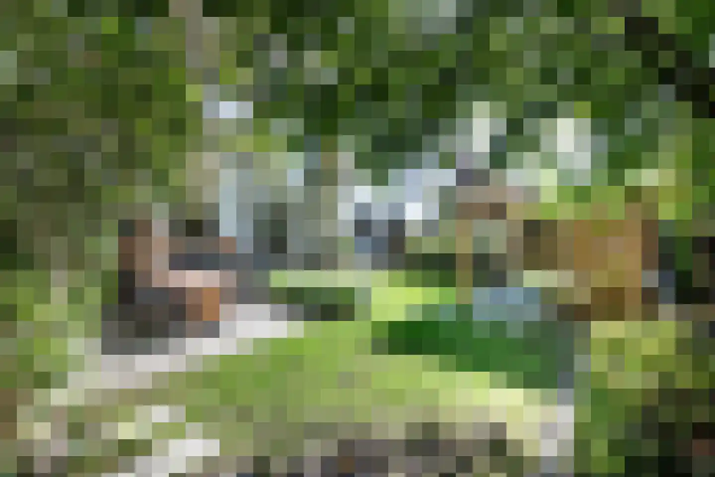 Pieter de Hooghstraat 11 Heemstede thumbnail 39