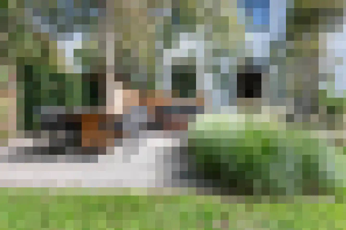 Pieter de Hooghstraat 11 Heemstede thumbnail 46