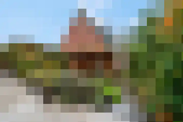 Pieter de Hooghstraat 116 Ede thumbnail 26