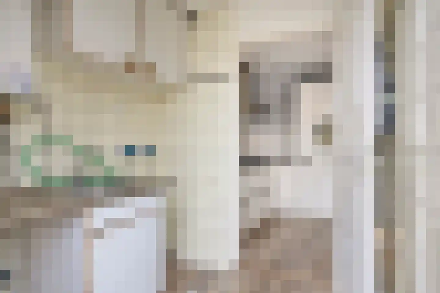 Pieter de Hooghstraat 12 Deventer thumbnail 17
