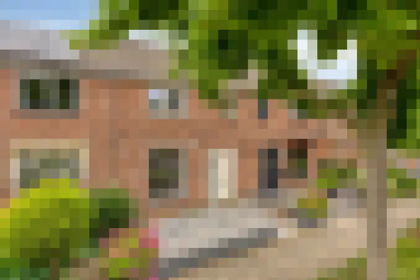 Pieter de Hooghstraat 12 Deventer thumbnail 5
