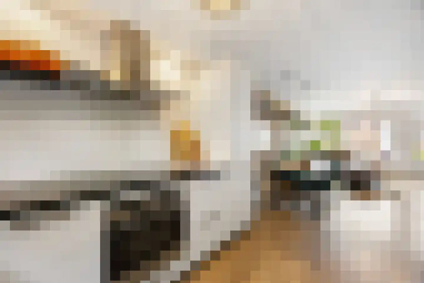 Pieter de Hooghstraat 122 Ede thumbnail 11