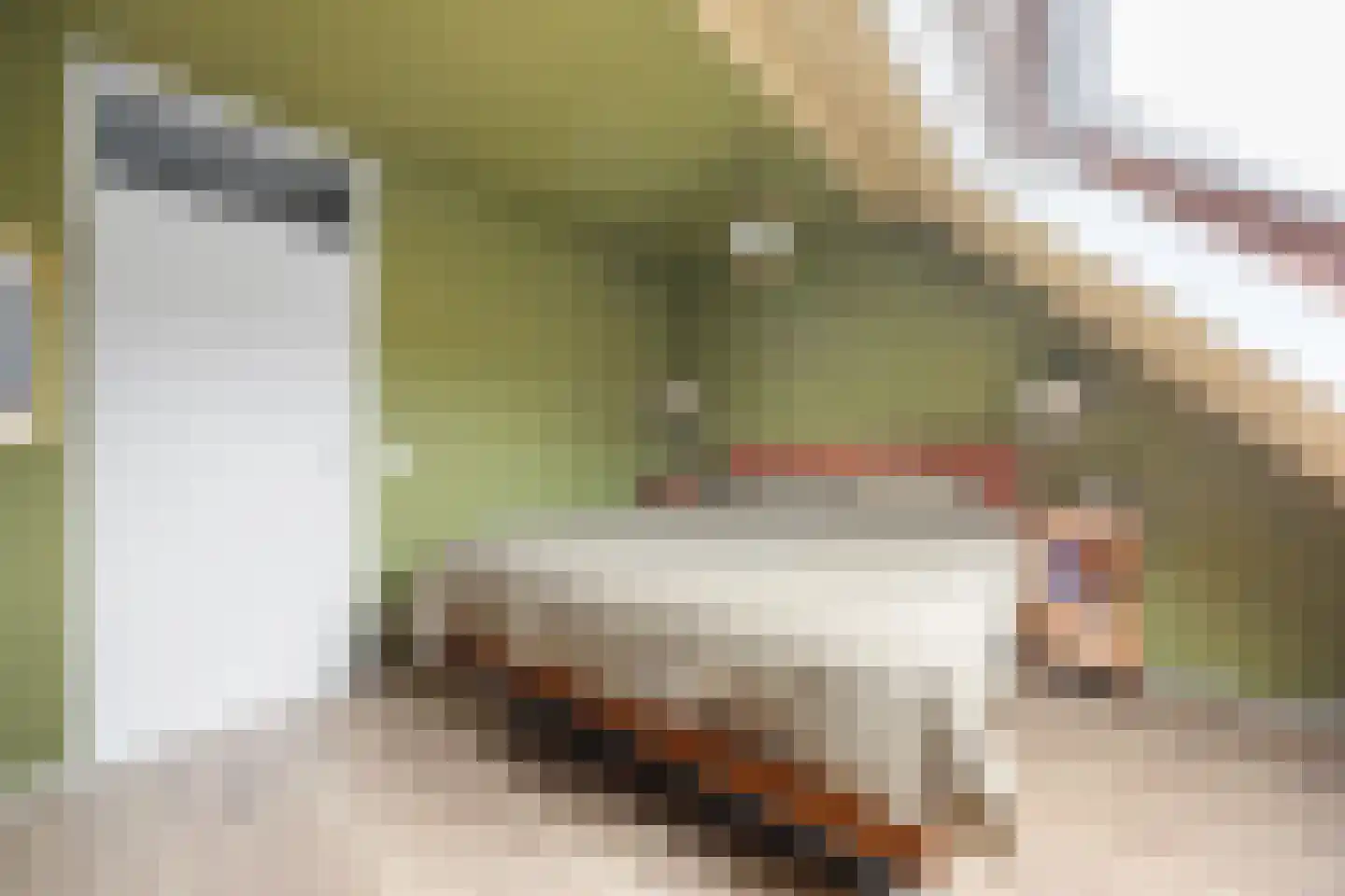 Pieter de Hooghstraat 122 Ede thumbnail 22