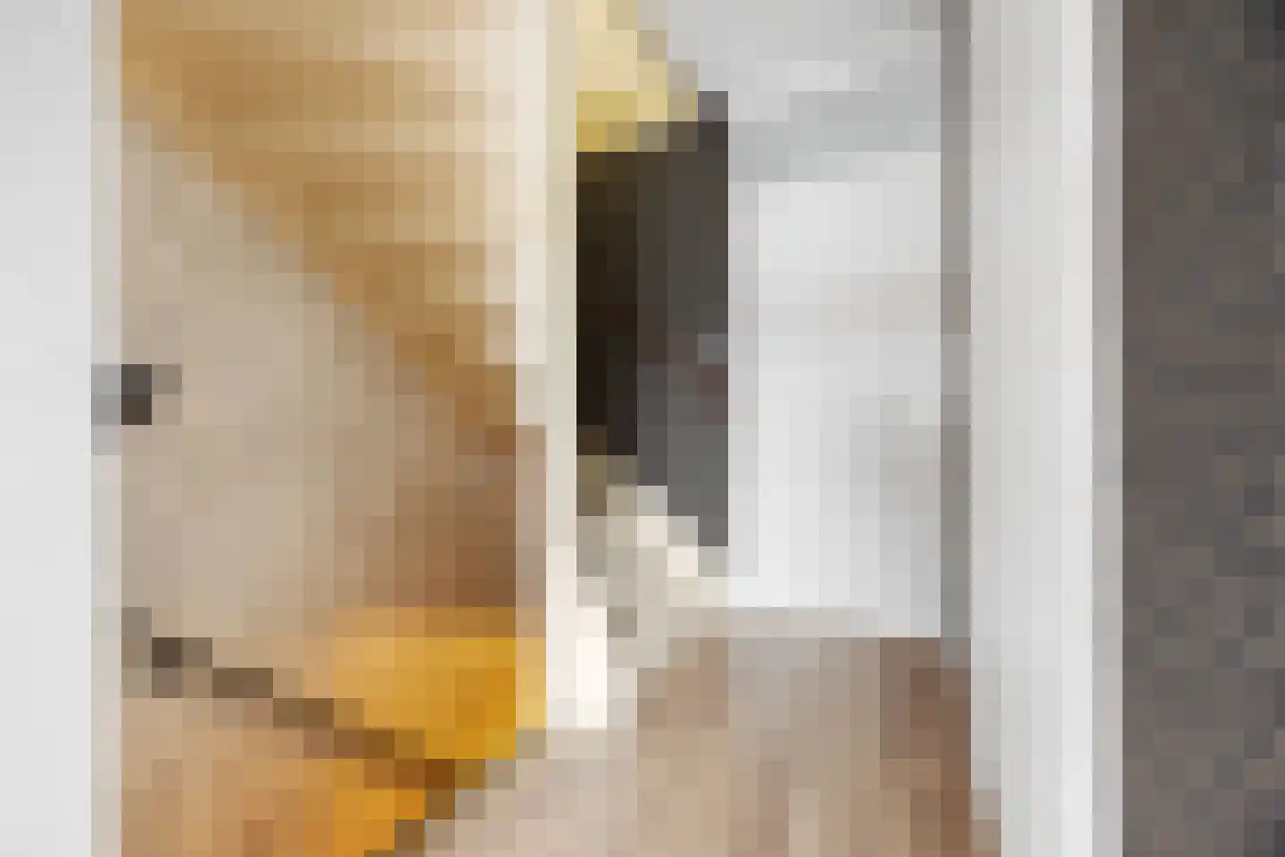 Pieter de Hooghstraat 122 Ede thumbnail 27