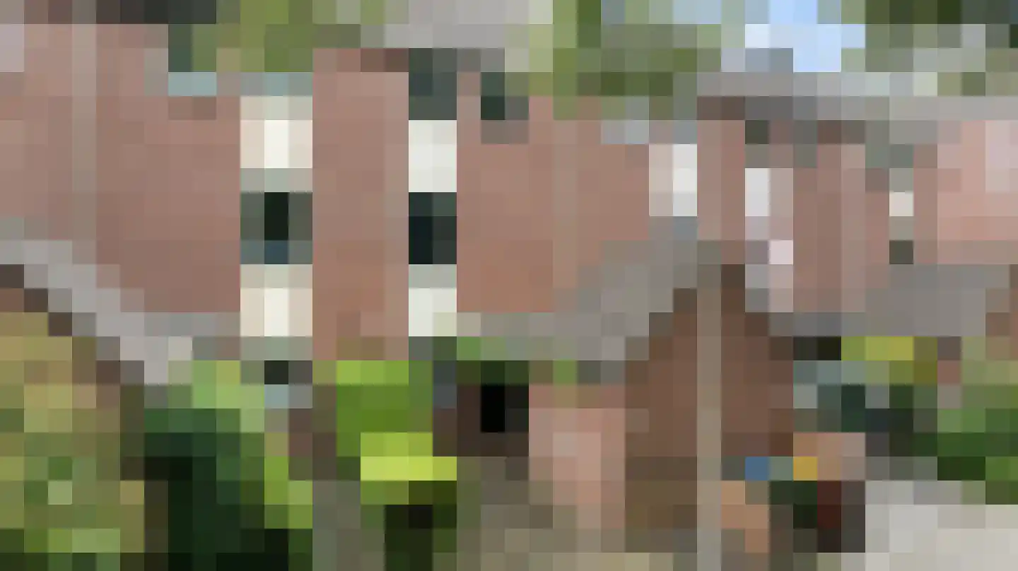 Pieter de Hooghstraat 122 Ede thumbnail 41