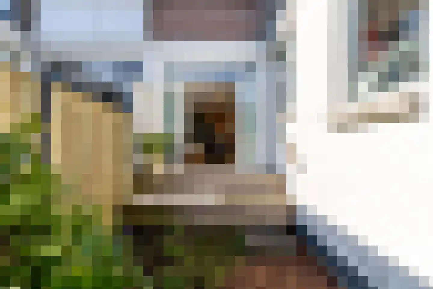 Pieter de Hooghstraat 14 B Schiedam thumbnail 24