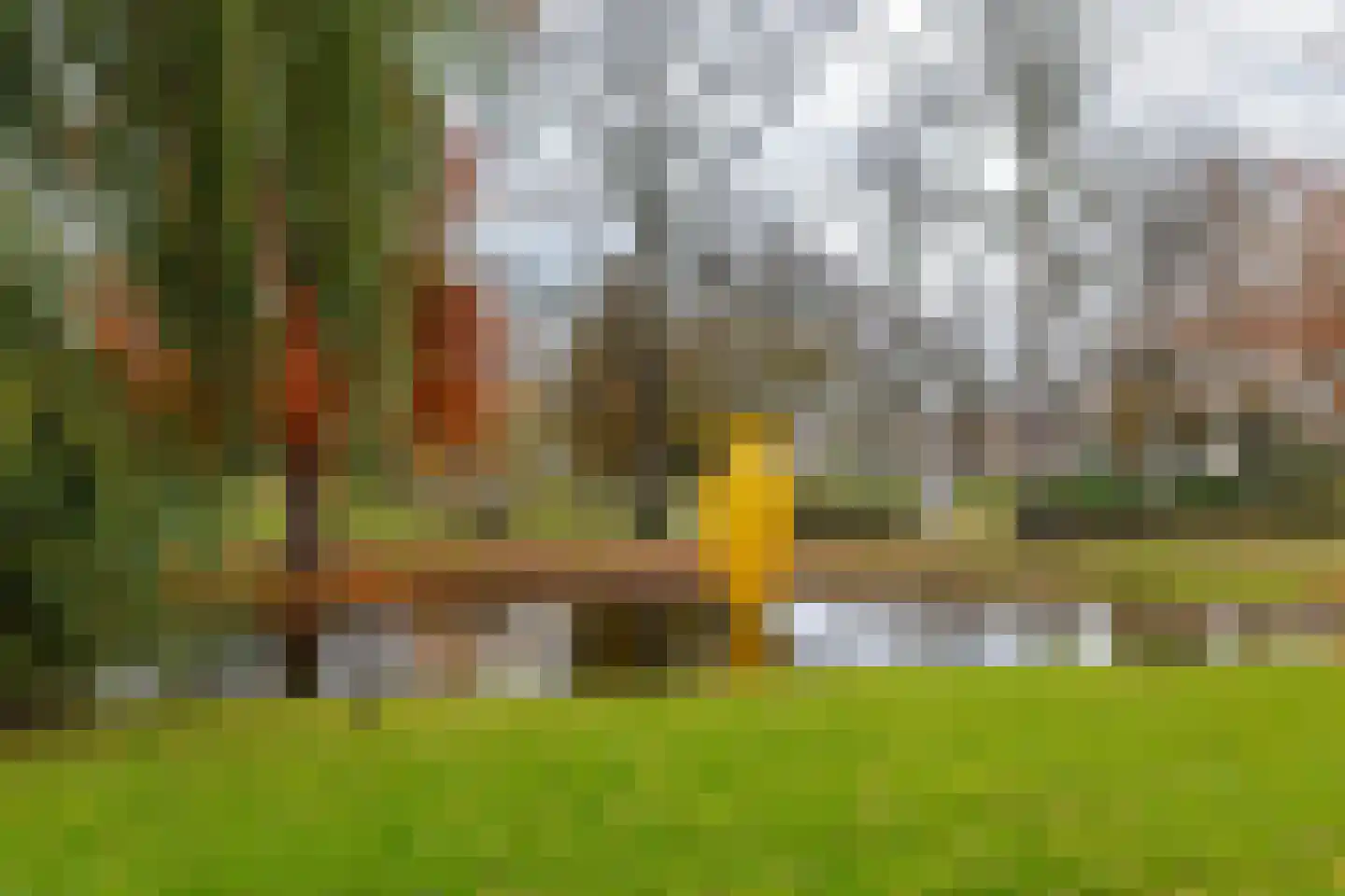 Pieter de Hooghstraat 14 B Schiedam thumbnail 36
