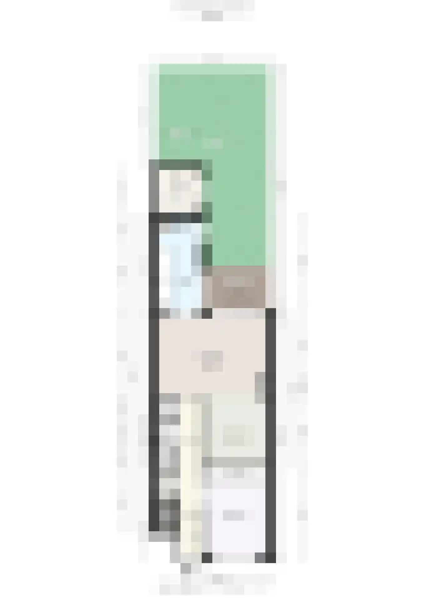Pieter de Hooghstraat 14 B Schiedam thumbnail 37