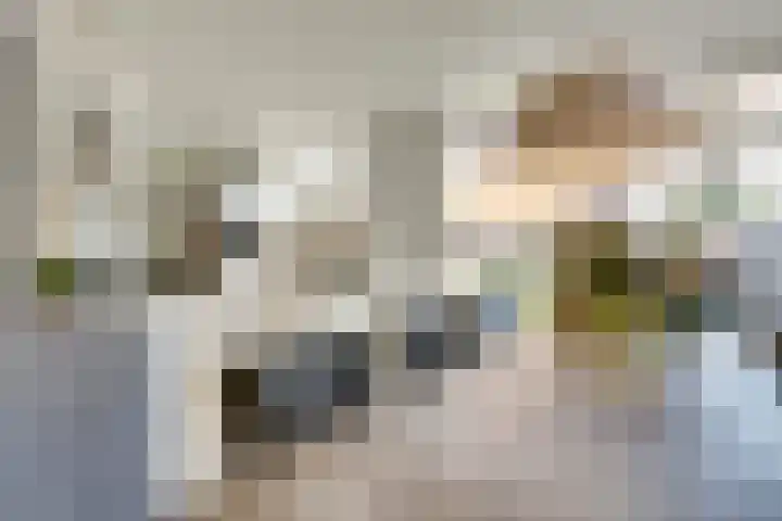 Pieter de Hooghstraat 14 Helmond thumbnail 12