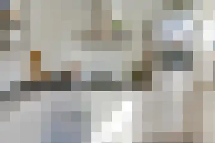 Pieter de Hooghstraat 14 Helmond thumbnail 14
