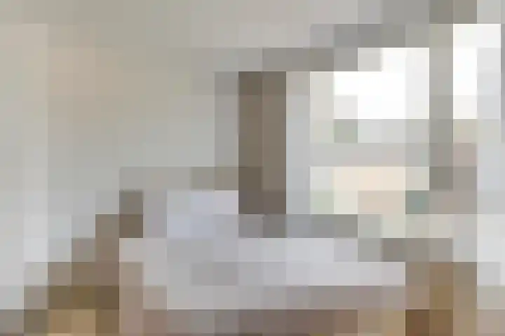 Pieter de Hooghstraat 14 Helmond thumbnail 21