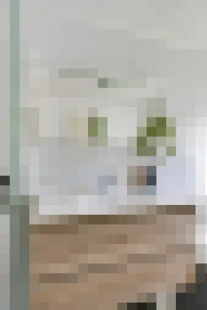 Pieter de Hooghstraat 14 Helmond thumbnail 25
