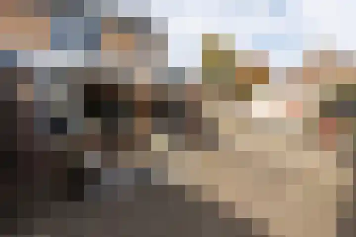 Pieter de Hooghstraat 14 Helmond thumbnail 34