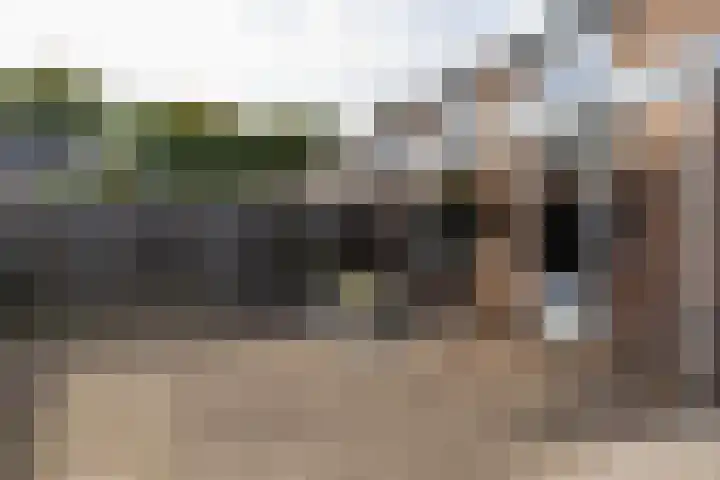 Pieter de Hooghstraat 14 Helmond thumbnail 35