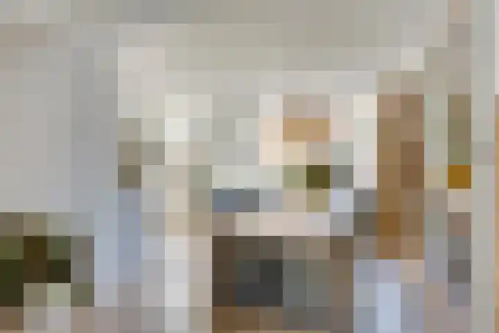 Pieter de Hooghstraat 14 Helmond thumbnail 9
