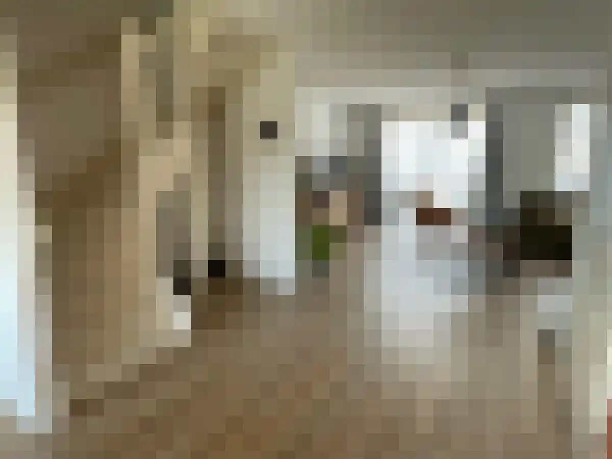 Pieter de Hooghstraat 144 Ede thumbnail 4
