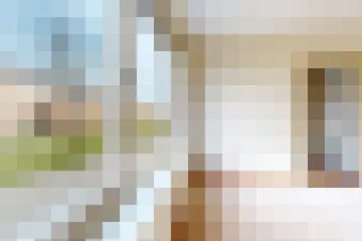 Pieter de Hooghstraat 17 Fijnaart thumbnail 13