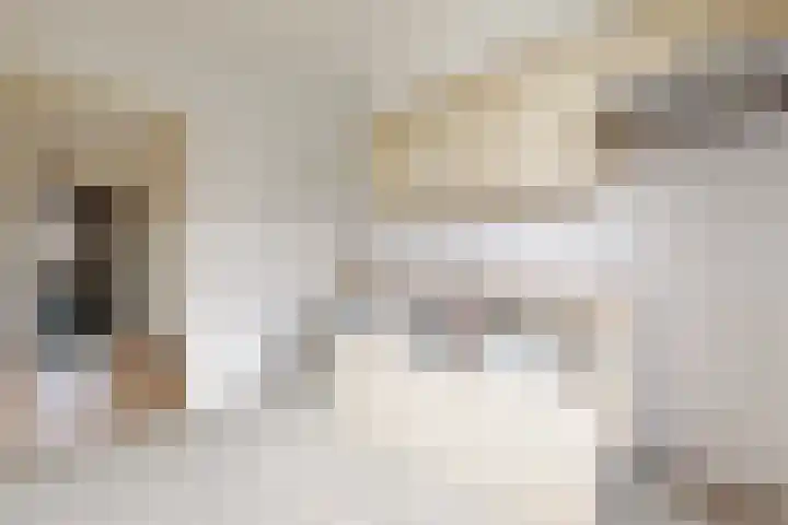 Pieter de Hooghstraat 17 Fijnaart thumbnail 19