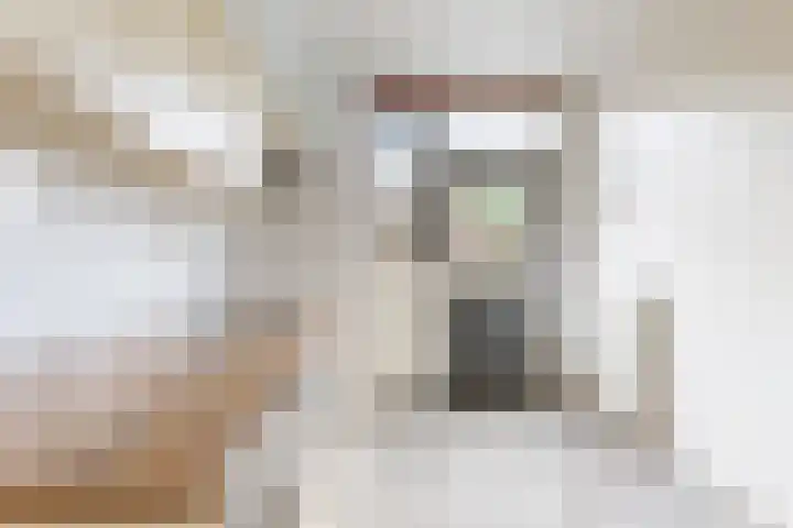 Pieter de Hooghstraat 17 Fijnaart thumbnail 21