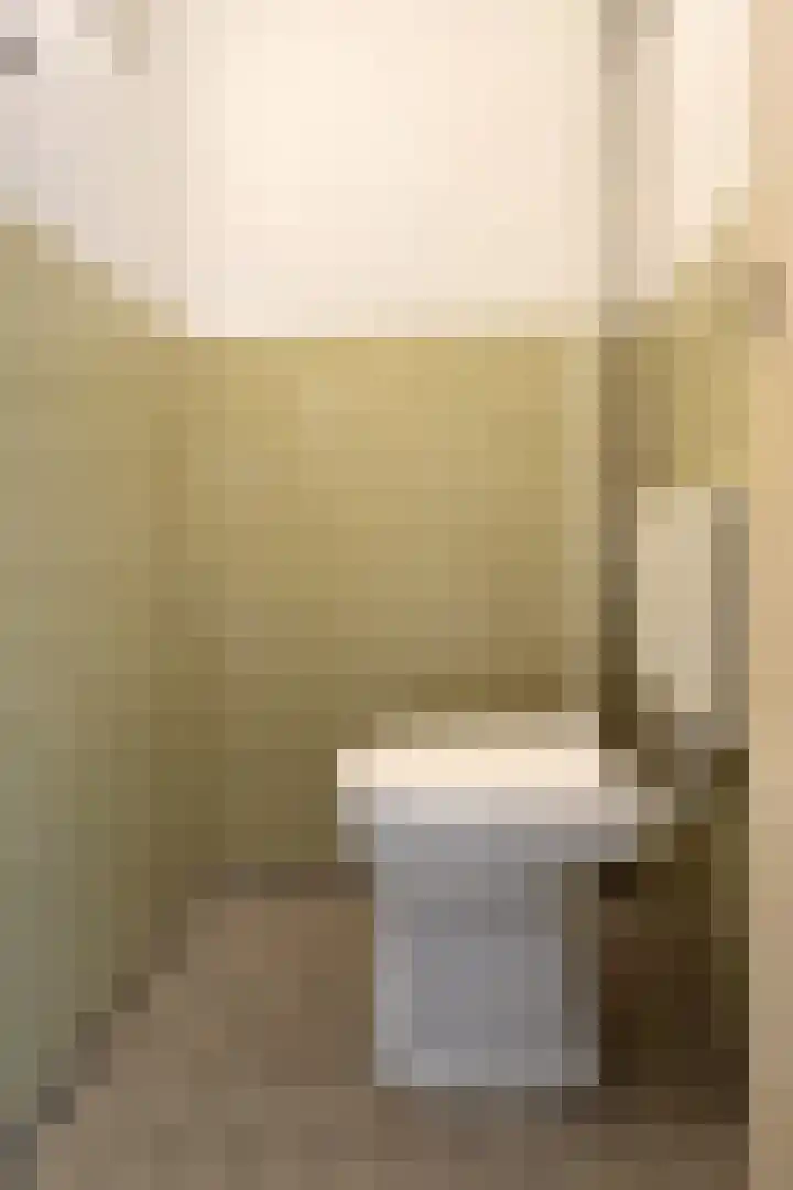 Pieter de Hooghstraat 17 Fijnaart thumbnail 22