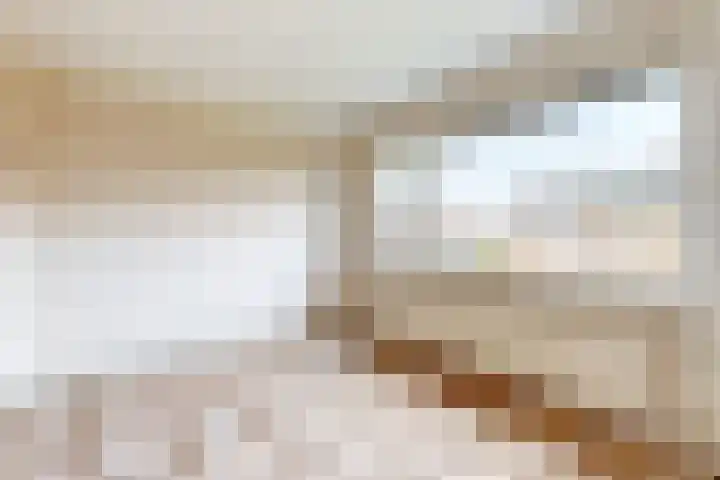 Pieter de Hooghstraat 17 Fijnaart thumbnail 25