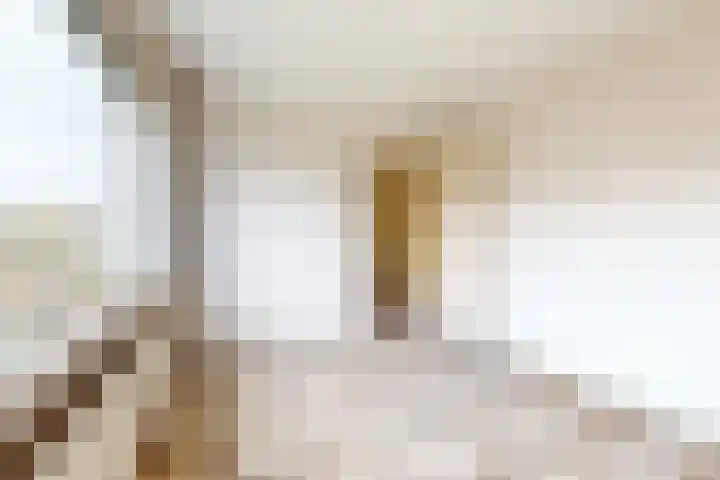 Pieter de Hooghstraat 17 Fijnaart thumbnail 27