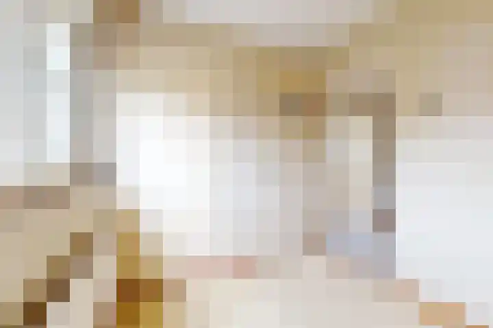 Pieter de Hooghstraat 17 Fijnaart thumbnail 32