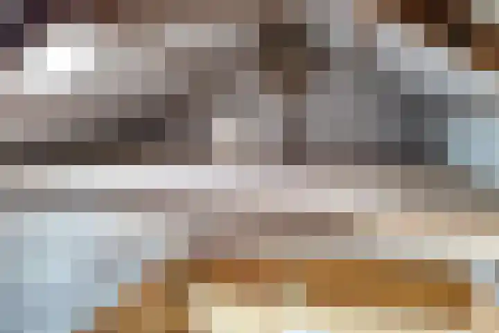 Pieter de Hooghstraat 17 Fijnaart thumbnail 35