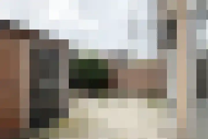 Pieter de Hooghstraat 17 Fijnaart thumbnail 37