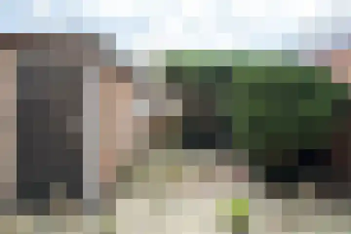 Pieter de Hooghstraat 17 Fijnaart thumbnail 38