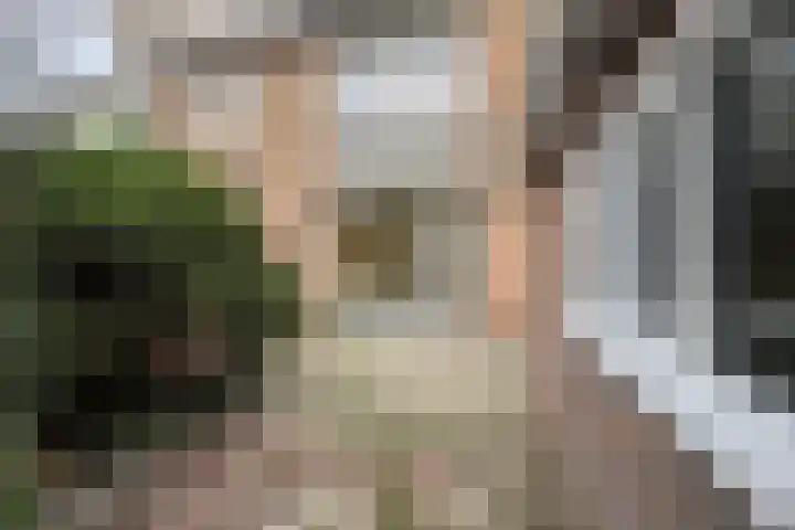 Pieter de Hooghstraat 17 Fijnaart thumbnail 41