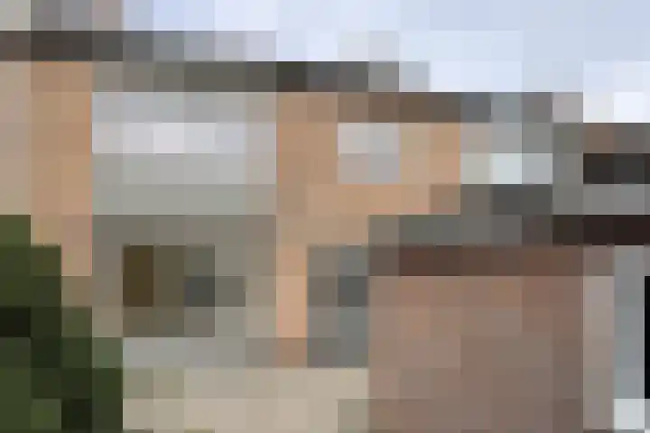 Pieter de Hooghstraat 17 Fijnaart thumbnail 42