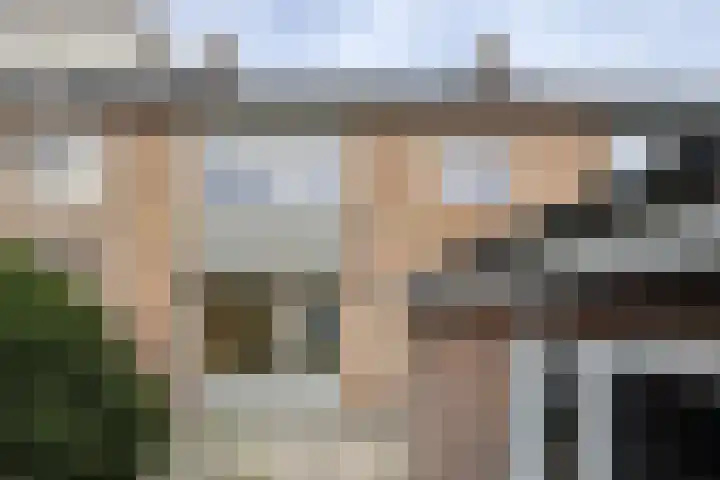 Pieter de Hooghstraat 17 Fijnaart thumbnail 43