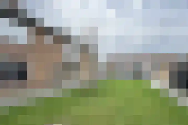Pieter de Hooghstraat 17 Fijnaart thumbnail 48