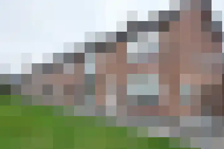 Pieter de Hooghstraat 17 Fijnaart thumbnail 49