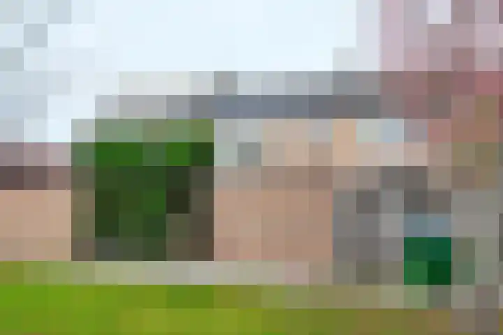 Pieter de Hooghstraat 17 Fijnaart thumbnail 50
