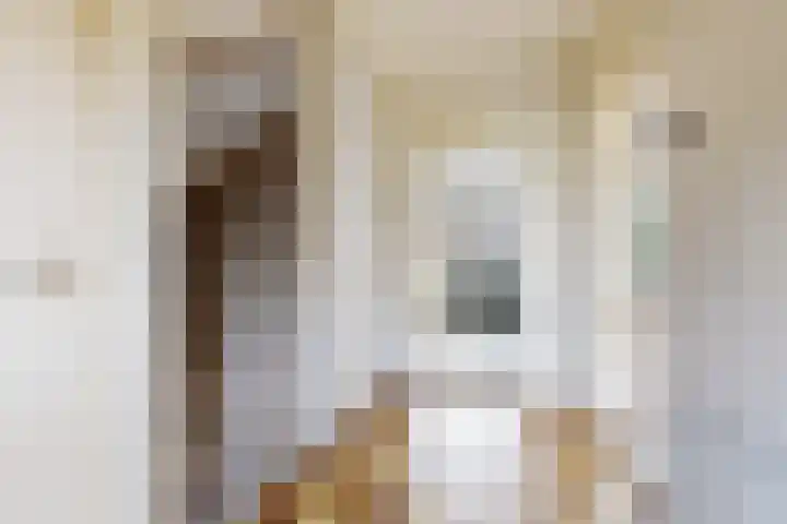 Pieter de Hooghstraat 17 Fijnaart thumbnail 7