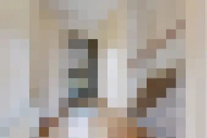Pieter de Hooghstraat 17 Fijnaart thumbnail 8