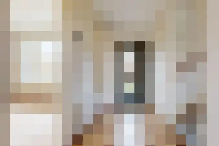 Pieter de Hooghstraat 17 Fijnaart thumbnail 9