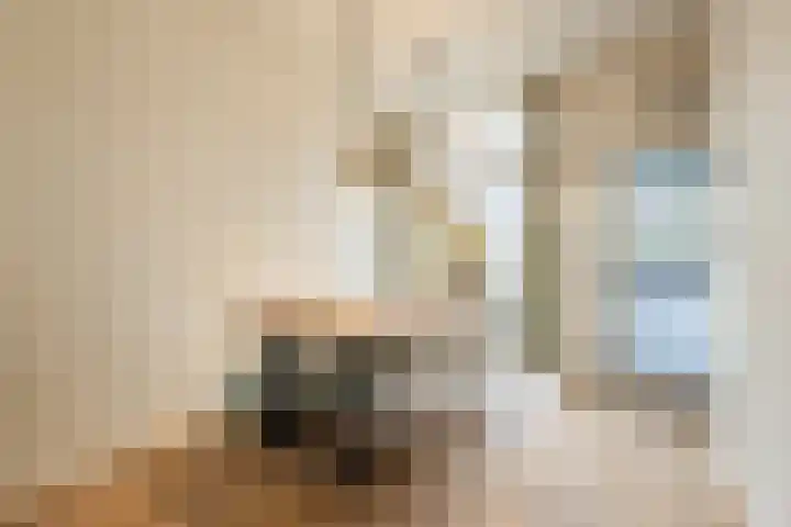 Pieter de Hooghstraat 17 Utrecht thumbnail 5