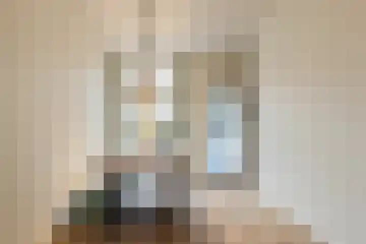 Pieter de Hooghstraat 17 Utrecht thumbnail 6